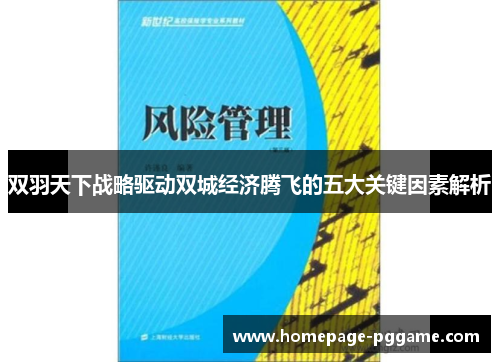 双羽天下战略驱动双城经济腾飞的五大关键因素解析