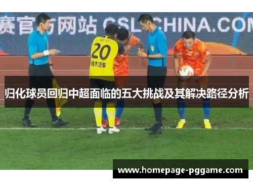 归化球员回归中超面临的五大挑战及其解决路径分析