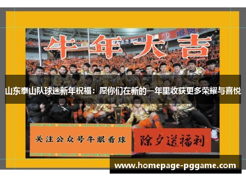 山东泰山队球迷新年祝福：愿你们在新的一年里收获更多荣耀与喜悦