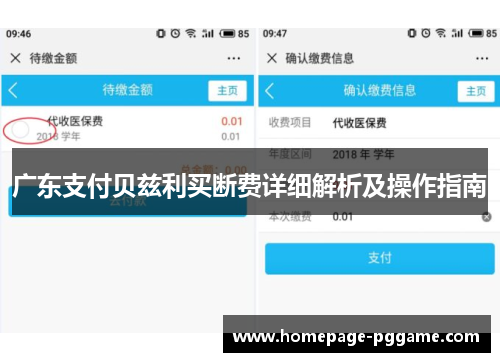 广东支付贝兹利买断费详细解析及操作指南
