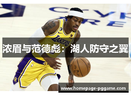 浓眉与范德彪：湖人防守之翼