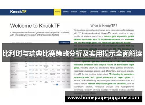 比利时与瑞典比赛策略分析及实用提示全面解读