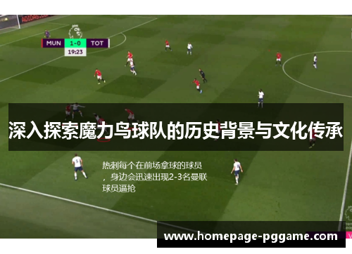 深入探索魔力鸟球队的历史背景与文化传承