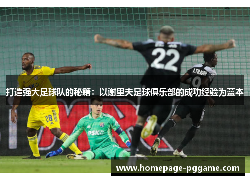 打造强大足球队的秘籍：以谢里夫足球俱乐部的成功经验为蓝本