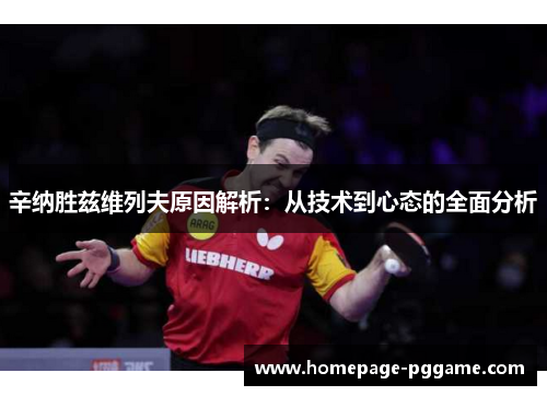 辛纳胜兹维列夫原因解析：从技术到心态的全面分析
