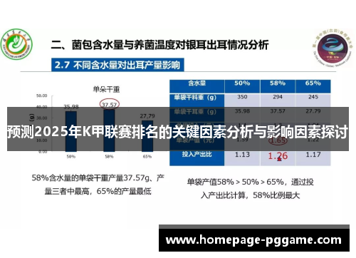 预测2025年K甲联赛排名的关键因素分析与影响因素探讨