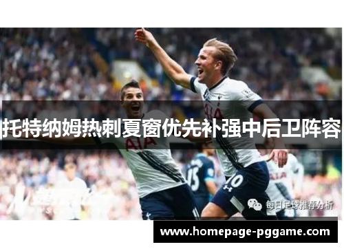 托特纳姆热刺夏窗优先补强中后卫阵容